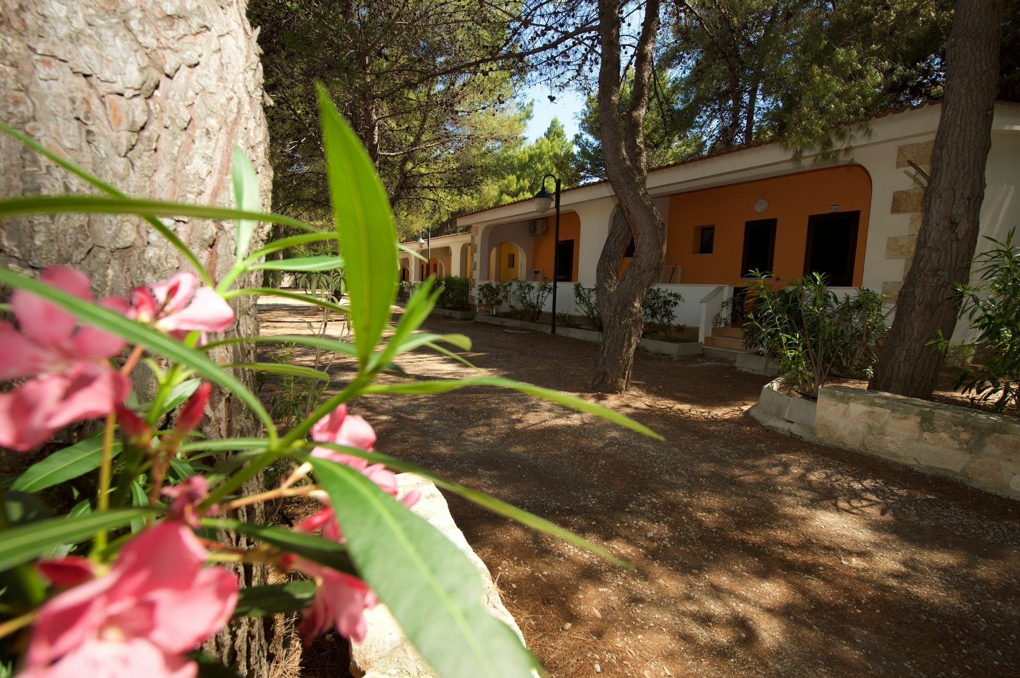 Villaggio Gargano Vieste Eksteriør billede
